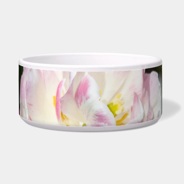 Écuelle Tulipes rose vif par jour ensoleillé (Devant)