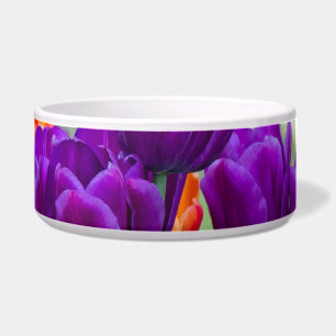 Écuelle Tulipes violettes foncées par beau temps dans le j