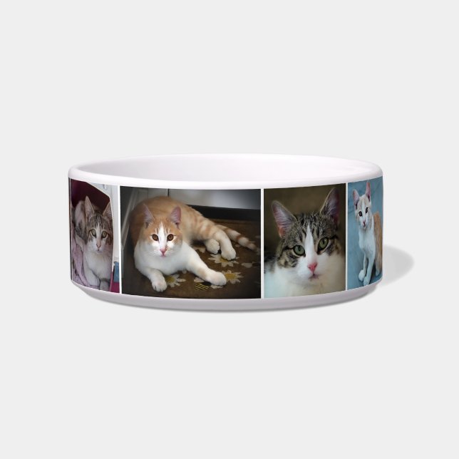 Écuelle Un couple de Kitties (Devant)