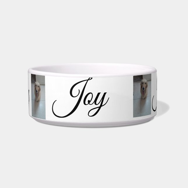 Écuelle "Whisker Haven : Bols pour animaux de compagnie él (Devant)