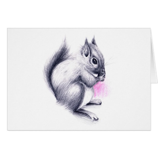 écureuil (Devant horizontal)