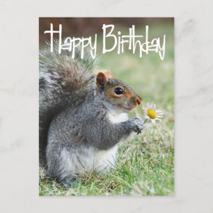 Écureuil avec Daisy Happy Birthday Carte postale