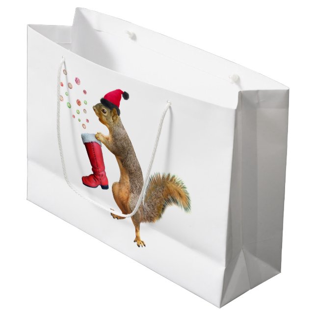 Écureuil avec le sac de cadeau de la botte de (Devant Angle)
