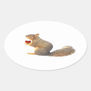 Écureuil avec Stickers Coeur Rouge