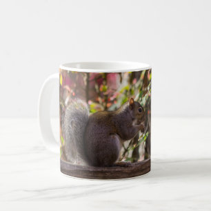 Écureuil Chow Time Café Mug