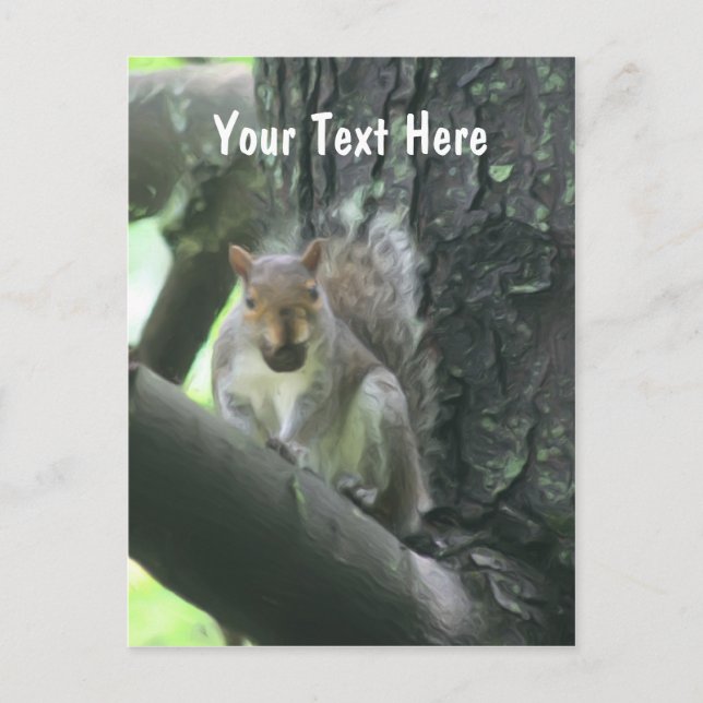 Écureuil dans l'arbre Carte postale personnalisabl (Devant)