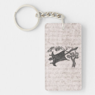 Écureuil de vol vintage de 1800s - planeur de