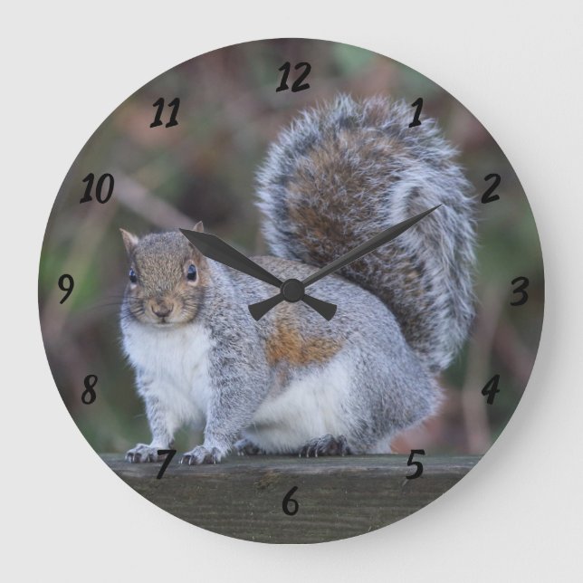 Écureuil gris sur la grande horloge ronde (Recto)