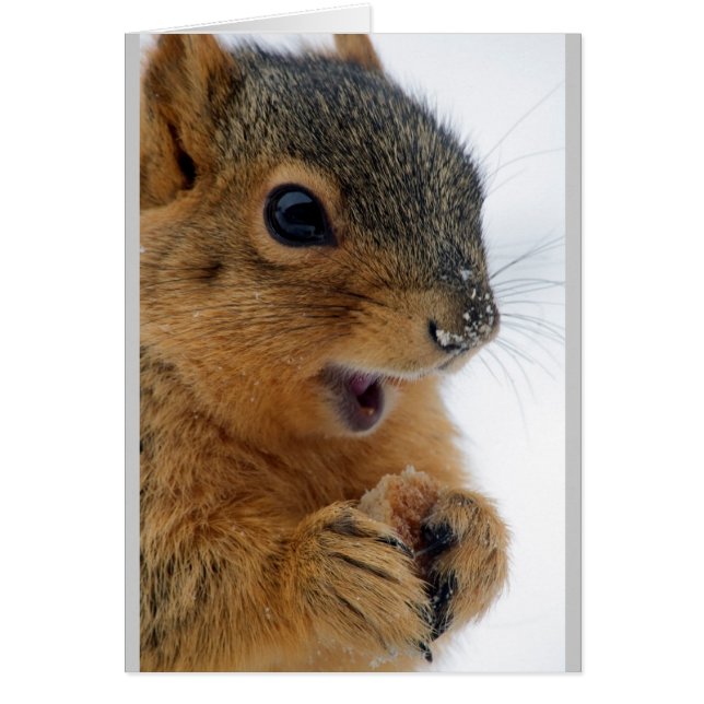 Écureuil le plus heureux jamais (Devant)