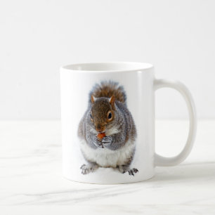 Écureuil mignon Manger une noix Photo Café Mug