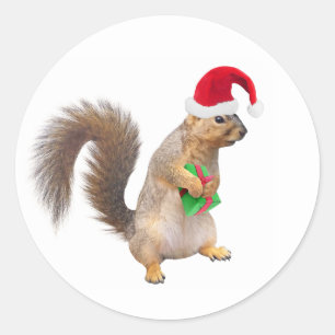 Écureuil père Noël avec Stickers Cadeau Vert