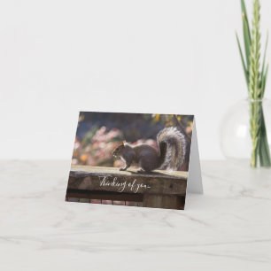 Écureuil Qui Joue Penser À Votre Carte