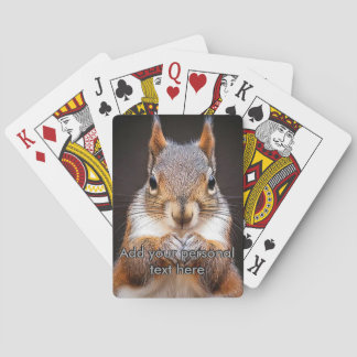 Écureuil regardant vos cartes à jouer