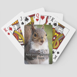 Écureuil regardant vos cartes à jouer