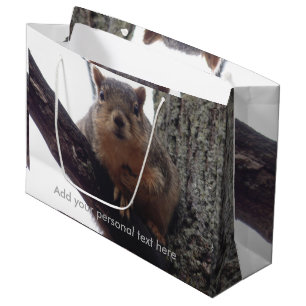 Écureuil regardant votre sac cadeau