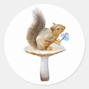 Écureuil sur champignon avec Stickers Fleurs