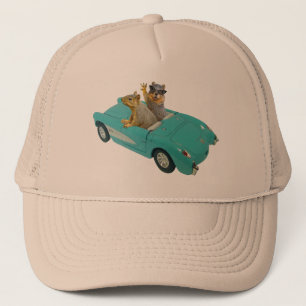 Écureuils dans le casquette de voiture