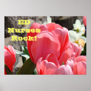 ED pflegt Felsen ER-Krankenpflegeplakate rosa Poster