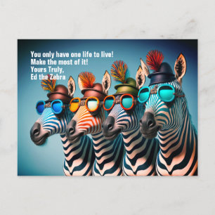 Ed the Zebra - Funny machen das Beste aus dem Lebe Postkarte