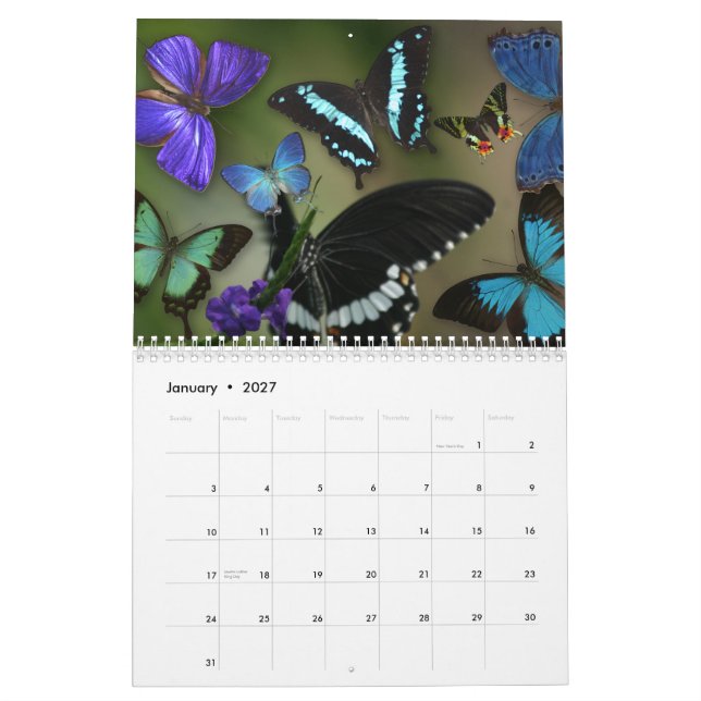 Edelsteine der Luft Kalender (Jan 2027)
