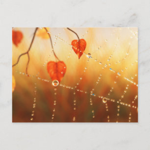 Edelsteine einer Herbstvormittkarte Postkarte