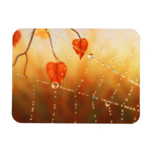 Edelsteine eines flexiblen Magazins Magnet