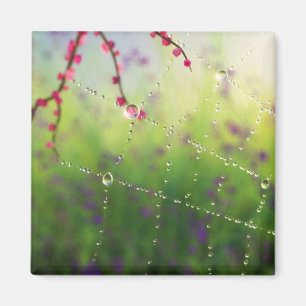 Edelsteine eines Frühjahrsmagnet Magnet