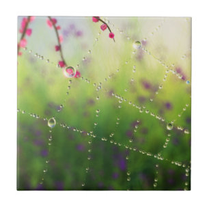 Edelsteine eines Frühlingsgrundes / Trivet Fliese