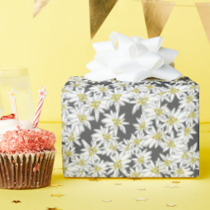 Edelweiss-Alpen-Wildblume Kohle Kernpunkt Geschenkpapier
