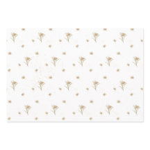 Edelweiss Alpine Wildblume Name