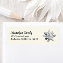 Edelweiss Blume Familienname Rücksendeadresse