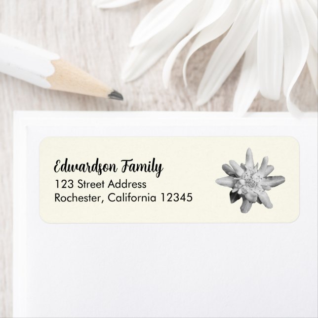 Edelweiss Blume Familienname Rücksendeadresse (Insitu)
