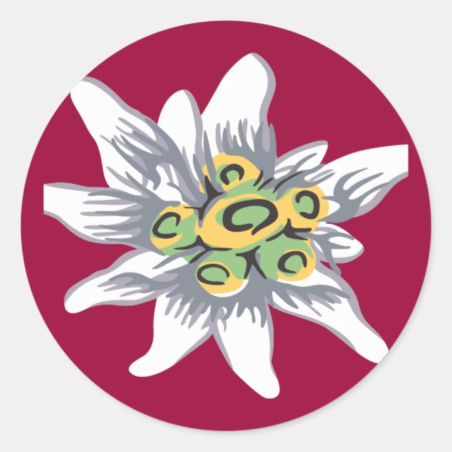 Edelweiss-Blume Runder Aufkleber (Vorderseite)