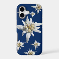 Edelweiss Fall auf dunkelblauem Hintergrund