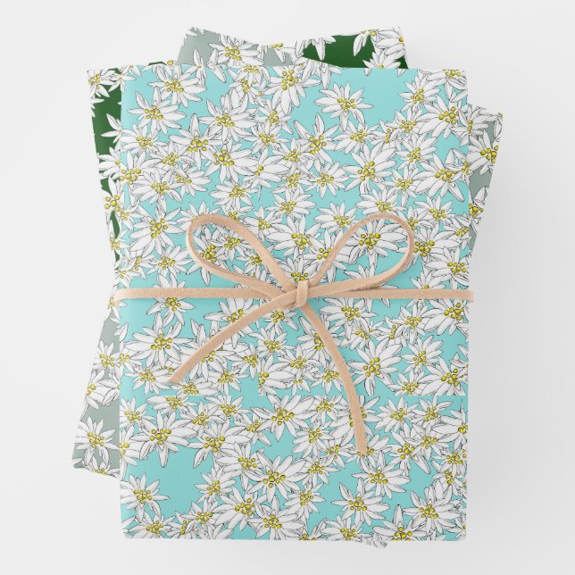 Edelweiss HandGezeichnet Musik Alpenflora Geschenkpapier Set (Beispiel)