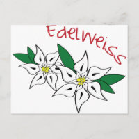 Edelweiss