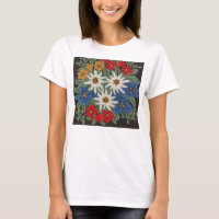 Edelweiss Schweizer Blume