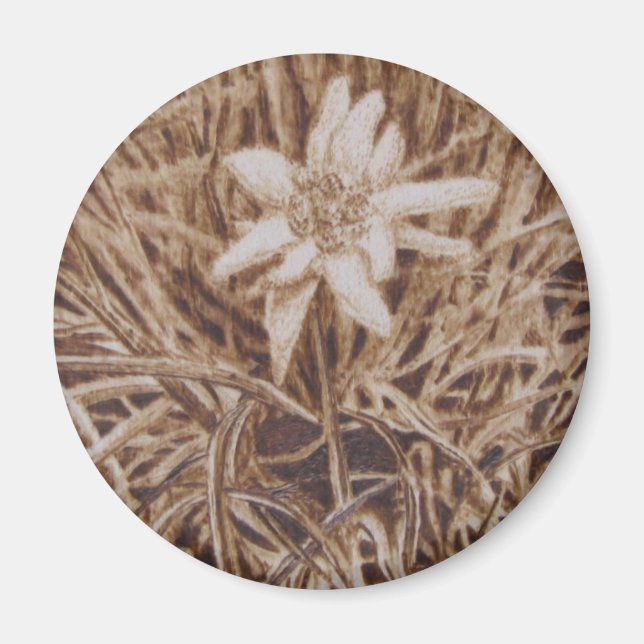 Edelweiss - Stella alpina Magnet (Vorne)