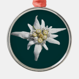 Edelweiss Verzierung Silbernes Ornament