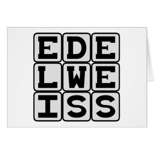 Edelweiß, weiße Blume