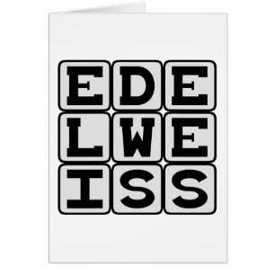 Edelweiß, weiße Blume