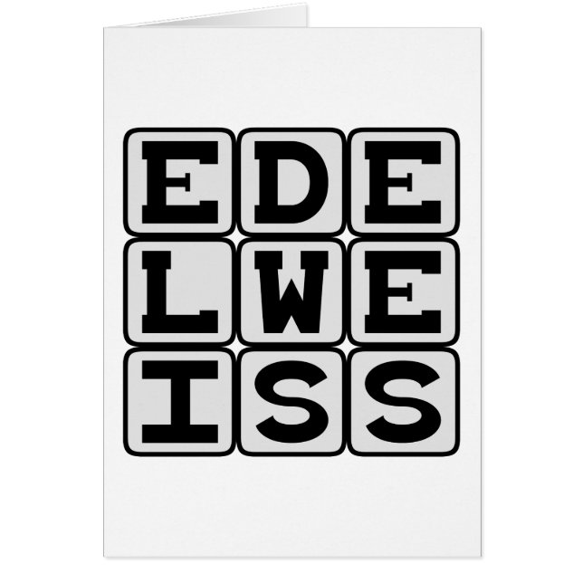 Edelweiß, weiße Blume (Vorne)