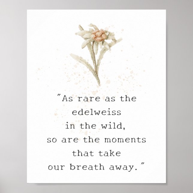 Edelweiss Wildblume Poster (Vorne)