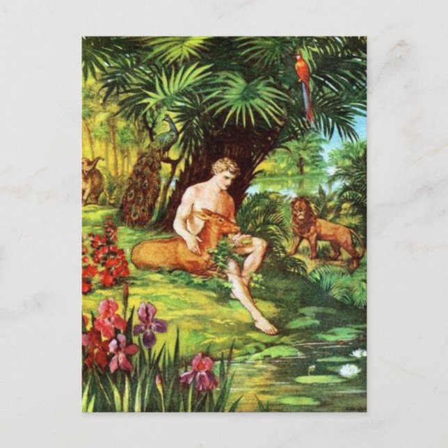 Eden Adam im Garten Postkarte (Vorderseite)