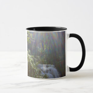 EDEN-REGENBOGEN TASSE