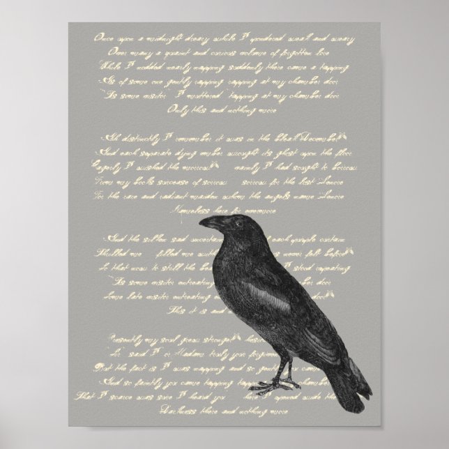 Edgar Allan Poe "Rabe" Poster (Vorne)