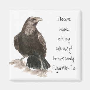 Edgar Allen Poe Insanity Quote Watercolor Raven Magnet
