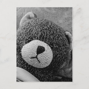 Edgar Shadows Sweet Teddy! Postkarte