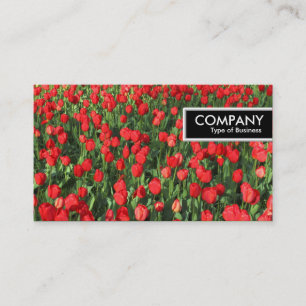 Edge Tag - Bett aus roten Tulpen 02
