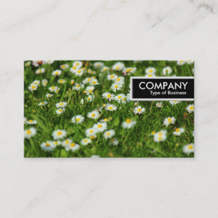 Edge Tag - Daisy Meadow